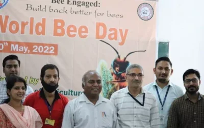 World-Bee-Day Image